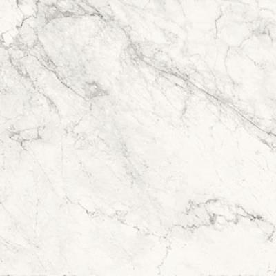 120 X 120 - White Polished