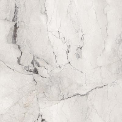 120 X 120 - White Polished