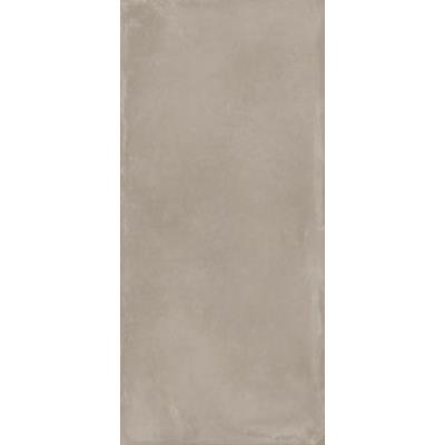 120 X 278 - Silver Matt