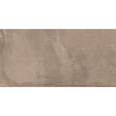 30 X 60 - Taupe Matt