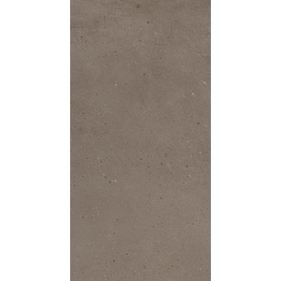 30 X 60 - Dark Beige Matt