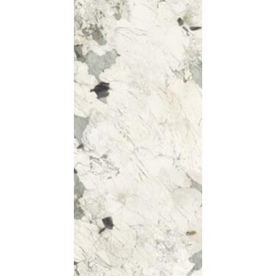 120 X 278 - White Polished