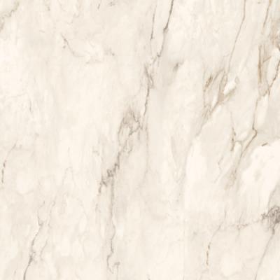 120 X 120 - White Polished