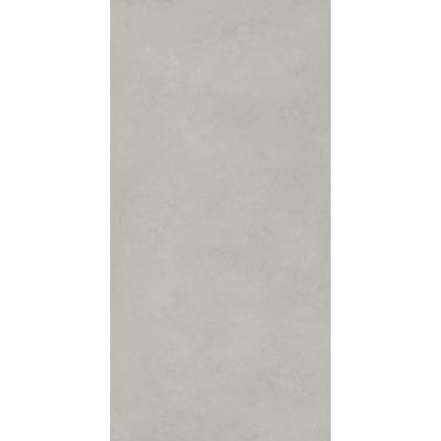 120 X 278 - Silver Matt