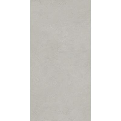 60 X 120 - Silver Matt