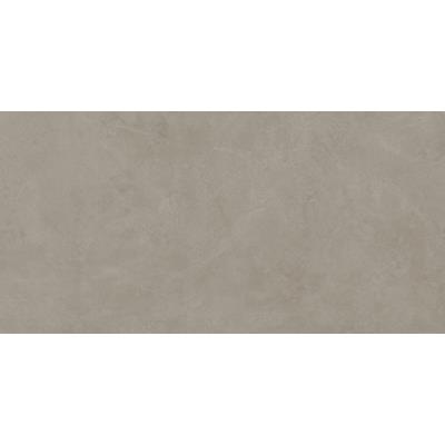 30 X 60 - Taupe Matt