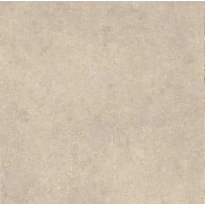 30 X 60 - Beige Matt